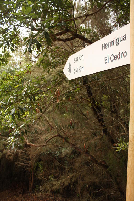 Casa Rural El Rincon De Antonia Agulo Exteriér fotografie