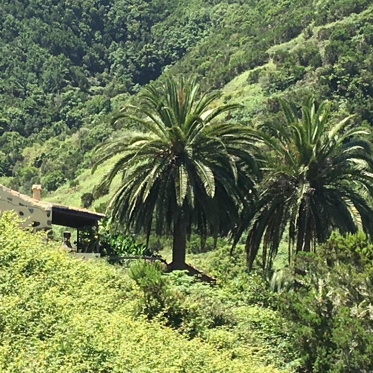Casa Rural El Rincon De Antonia Agulo Exteriér fotografie