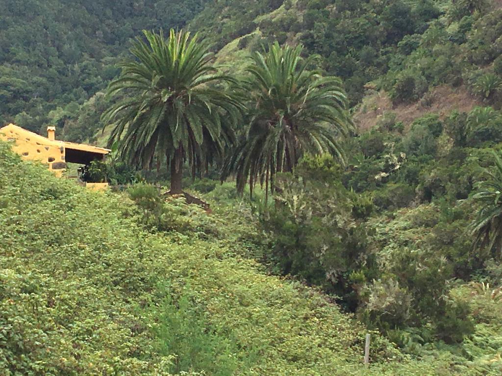 Casa Rural El Rincon De Antonia Agulo Exteriér fotografie