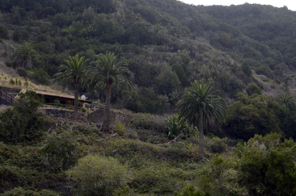 Casa Rural El Rincon De Antonia Agulo Exteriér fotografie